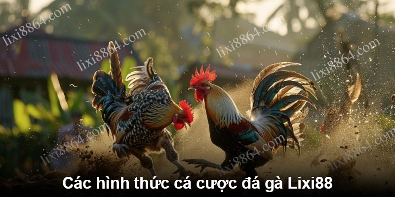 Các hình thức cá cược đá gà Lixi88