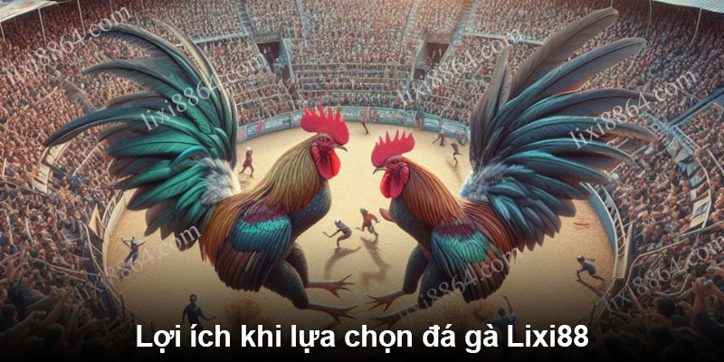 Lợi ích khi lựa chọn đá gà Lixi88